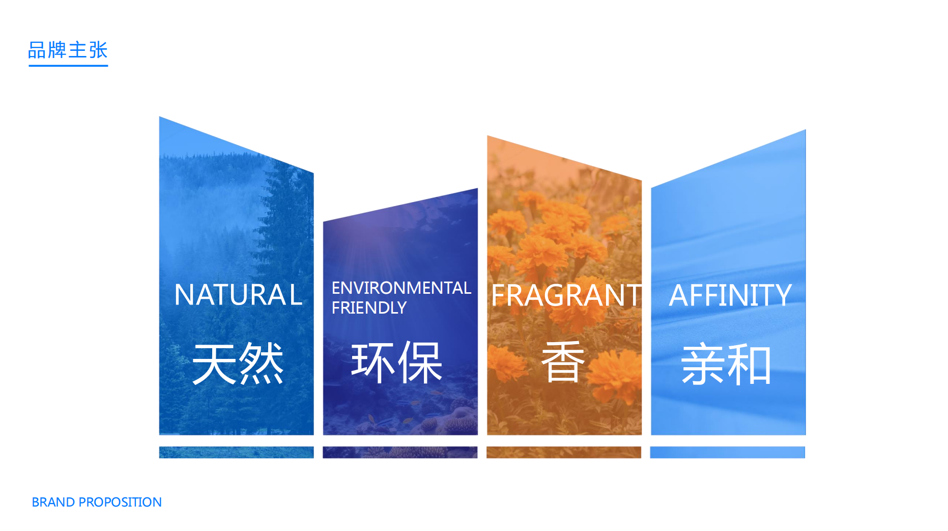 品牌介绍(图4)